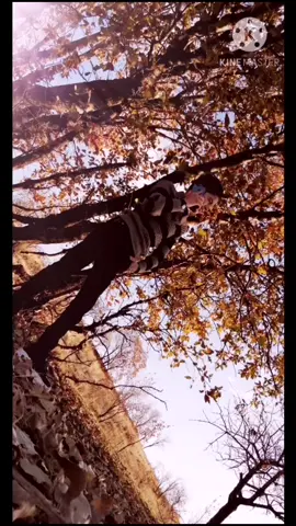 بۆخۆشەویستی هیچ کەسێک خۆت بچوکمەکەوە😏