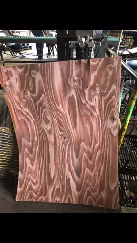 Sweet gum,poplar,bay, sycamore #fyp #foryourpage #work