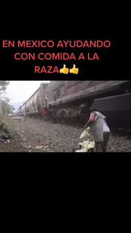 Tren la bestia