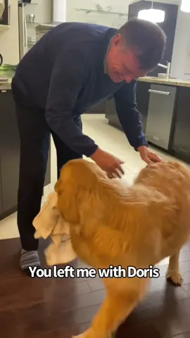 My happy greeting #goldenretriever #dogsoftiktok #cute #sweetdog