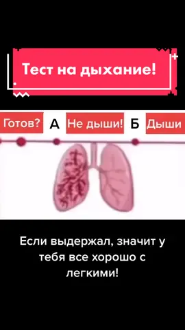 Тест на дыхание! Попробуй! Или боишься? #дыхание #дыхательнаягимнастика #дыхательныеупражнения #тест #дыши #онлайнфит #фитнестренер
