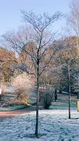 #frost #frosty #winters #srk #srkfan #shahrukhkhan #birmingham #fyp #nanuofficial1 #nanu10200 #snow #bdtiktok #tiktokindia #tiktokpakistan