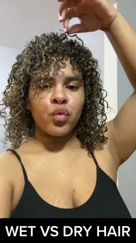 WET VS DRY HAIR 🦁 #natualhair #curlyhair #wetvsdry #wetvsdrychallenge