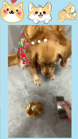 😂😂😂#dog #cute #foryou