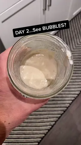 DAY 2! #sourdough #sourdoughstarter #bread #breadtok #foods #fyp #foodtiktok #tiktokfood #DIY #homemade #HowTo #bubbles #vegas #bake #baker #day2