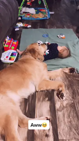Winston love his baby❤️#goldenretriever #baby #fyp #foryoupage #myhooman #MomsofTikTok #babygirl #girlanherdog