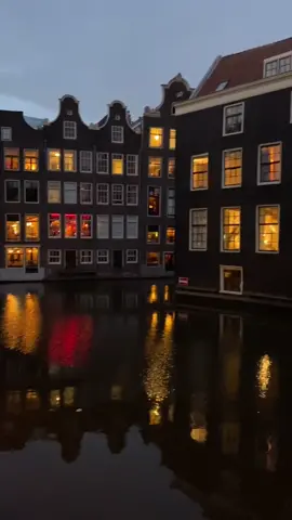 #Nederland #holland #holanda #paisesbajos #голандия #нидерланды #гага #амстердам #lahaya #amsterdam #Hague #мельница #molino #travel #путишествие