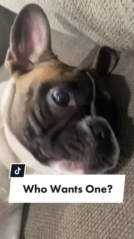 #stitch with @cameronghassemi who wants this mask? #SkinCare101 #ZodiacSign #frenchiesoftiktok