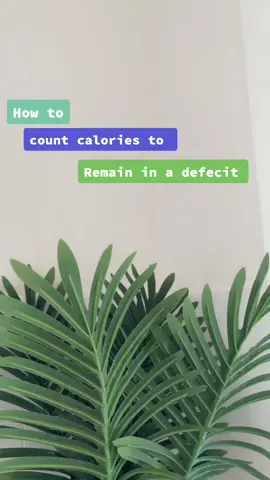 I keep getting asked how to count cals, fitness pal is awesome  BUT i also think this is a easy way to count cals #caloriedeficit #fatloss