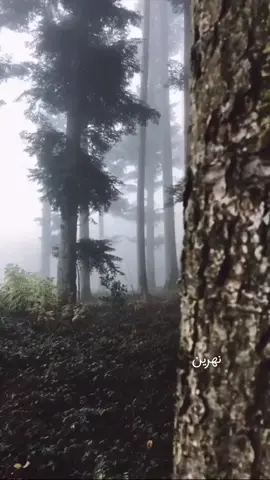 صباح الخير