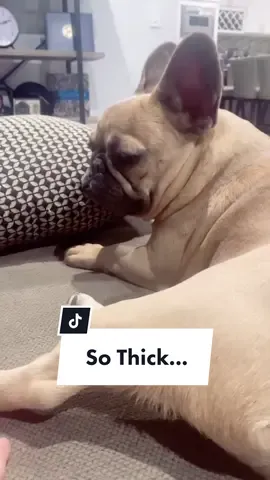 What a pound cake #ZodiacSign #SkinCare101 #frenchiesoftiktok
