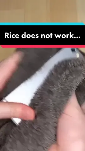 #stitch with @appletips8  No more rice in 2020 please and thank you #waterdamage #iphone