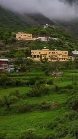 فن الشقر في الشعر الجنوبي