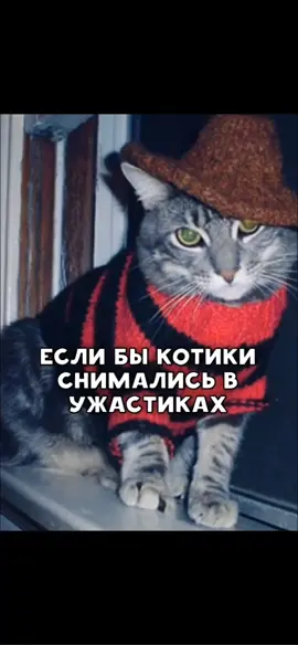 А какой кото-ужастик посмотрели бы вы? 😼