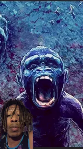 #kongvsgodzilla #godzillavskong #kong #godzilla #gorillas #foryou #fyp #foryourpage #kingkong #kaiju