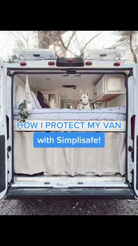 How I protect my van with SimpliSafe #vanlife #solofemaletraveler #fyp #rhodeisland #safety #vanconversion #solofemalevanlife