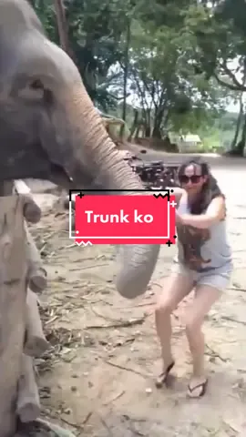 Not to be messed with #fyp #tiktok