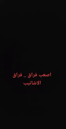 الذييب لاعوا جاوبه ذيب ..⭐✋ ##ايلنا_تصويري_اكسبورا