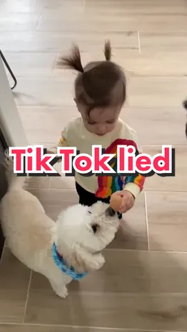 Thanks, TikTok #givetoddleregg #toddlertok #OhNo ￼#toddlersoftiktok ￼#eggchallenge #egg ￼#ohnonononoo