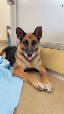 Damn these filters take years off 😲 #mcspca #adoptdontshop