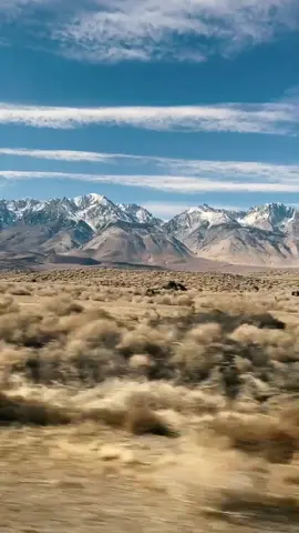Passenger seat pov #driverslicense #westcoast #nature #travel #pov