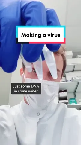 These viruses are important tools for our genetic engineering. Sounds high tech but it’s actually old tech. #engineering