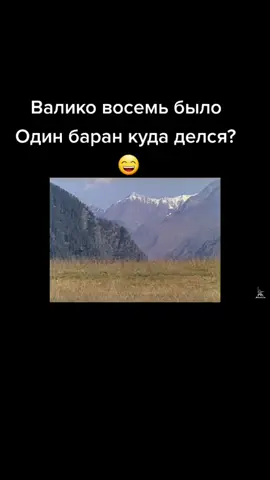 #хорошийфильм #севетский #потпишись #лайк #prumm Мимино#prummmchallenge