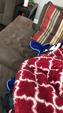 #snugglepuppy