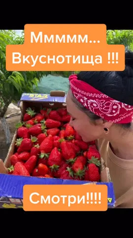 Урожай прошлого года 😋😋😋#дача #огород #сад #клубника #strawberry