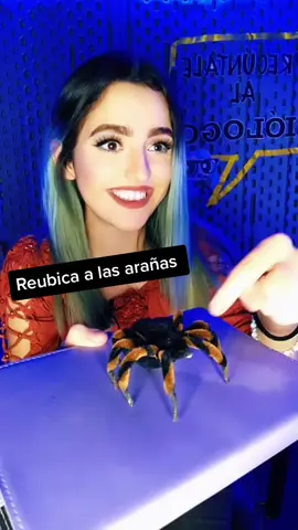 Reubiquen a las arañas amigos #araña #aracnido #ecologia #mascota #chachacha