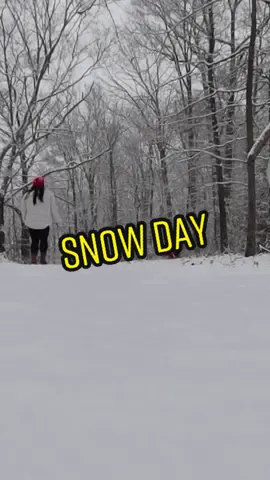 #maryland #snowday #WinterMagic #clingypet #wintersport #wintertime