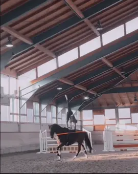 Вольтижировка-это отдельный вид искусства!🥺😻#НЕтанецМТС #рек #horse #конныйспорт #рекомендации #equestrian #equestrianedit #вольтижировка #лошадь