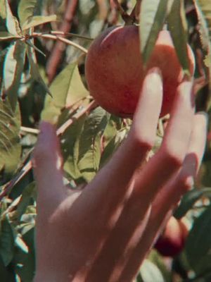 |𝘊𝘢𝘭𝘭 𝘔𝘦 𝘣𝘺 𝘠𝘰𝘶𝘳 𝘕𝘢𝘮𝘦 🍑| #callmebyyourname #aesthetic #livewallpapers#viral#timotheechalamet#назовименясвоимименем