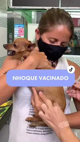 É muito importante manter as vacinas do seu pet em dia! Quem ama cuida😍🥰❤️#pequenosprincipes #vacina #pets