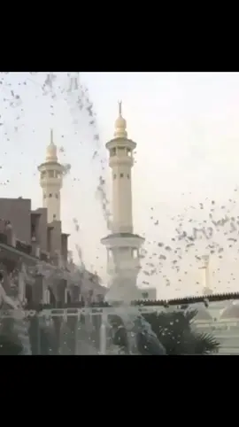 🤲🤲🤲🤲