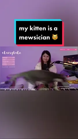 my kitten is the real piano streamer here 😽 #clingypet #twitchstreamer #nya #arigatou #catsoftiktok #asiangirl