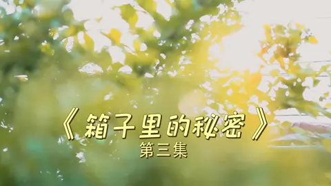 PartⅢ： People who are unfilial to their parents are inferior to plants第三集：人不孝其亲,不如草与木#陳翔六點半