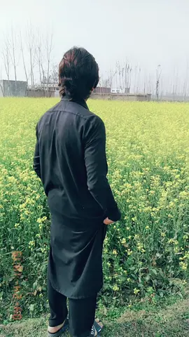 #Tara #Ma #Zwni #Wa #Cha #So #Jam_Ta_rasdm❤️😘😜           #Foryou #Ma_Aya #Batow @prince_swabiwal @saif_khan___420 @adnankhan886 @aniskhan0938
