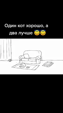 #домашниепитомцы#кот#юмор#рекомендации