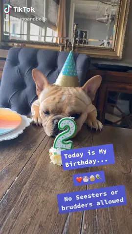 #repost #copyright #fyp #frenchiesoftiktok #frenchie #dogsoftiktok #birthdayparty