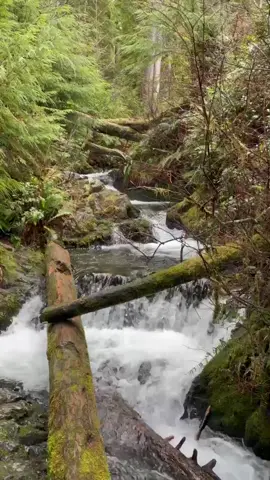 Camping along the NorthWest Coast. ↟↟↟↟#travel #camp #waterfall #adventure #wanderlust #outdoors