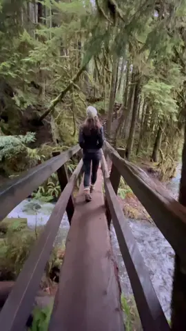 HoH Rainforest in the Olympic National Park. ↟↟↟↟#travel #waterfall #chasingwaterfalls #rainforest #wanderlust #adventure