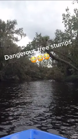 ￼ Dangerous tree stumps in the river.￼ #river #tree #jetski #fyp #ItWasntMe #junsworld #foryou #fyb #jetskichallenge