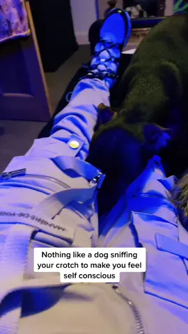 When you visit someone’s house and their dogs sniffs your crotch 🤨 #viral #funny #truethough #dogsoftiktok