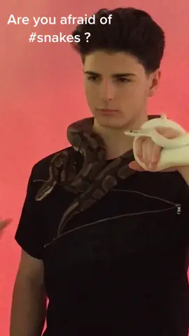 @petercestaro #snakes #petercestaro #newmusic #heartbreak #fyp