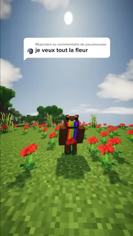 Répondre à @pousmousse il va vous distribuer toute les fleurs à vous 🌹🥰 #Minecraft