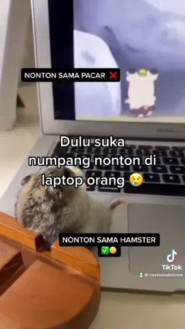 Sebuah motivasi 🐹😘✨ #fyp #foryoupage #hamster #hamtaro