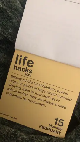 #animalshelter