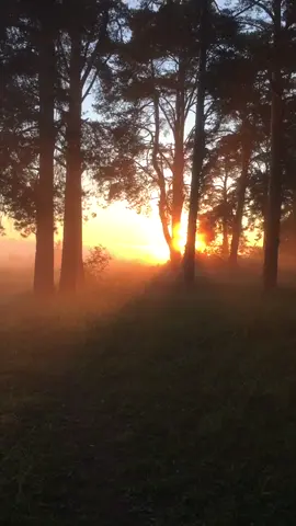 Золотой свет рассвета #россия #Russia #вятка #киров #красота #nature