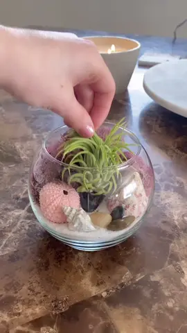 Pink vibes only 💗 #plants #terrariummaking #pink #moss